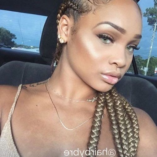 Classy 2-In-1 Ponytail Braid Hairstyles (Photo 16 of 20)
