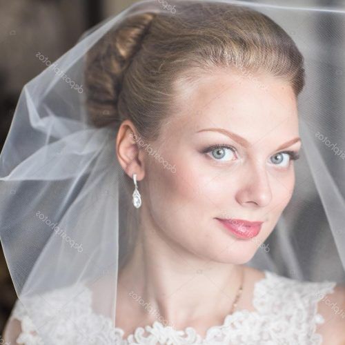 Wedding Hairstyles With Veil Over Face (Photo 11 of 17)