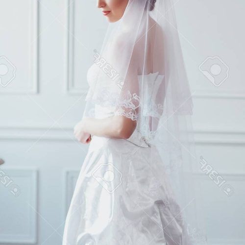 Wedding Hairstyles With Veil Over Face (Photo 9 of 17)