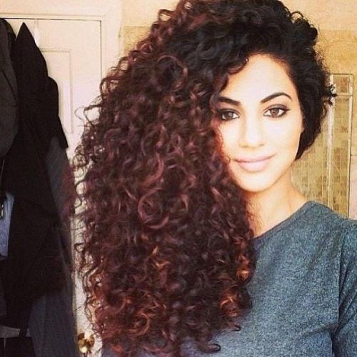 Long Hairstyles Naturally Curly Hair (Photo 4 of 15)
