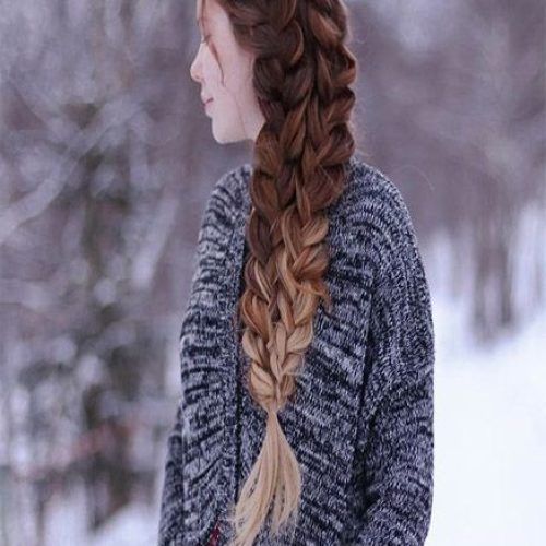 Double Rose Braids Hairstyles (Photo 11 of 20)