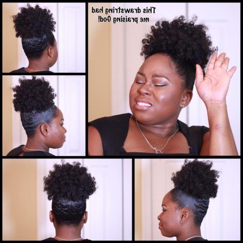 Pony Hairstyles For Natural Hair (Photo 17 of 20)