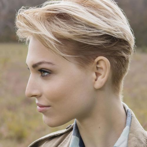 Undercut Pixie Hairstyles For Thin Hair (Photo 4 of 20)
