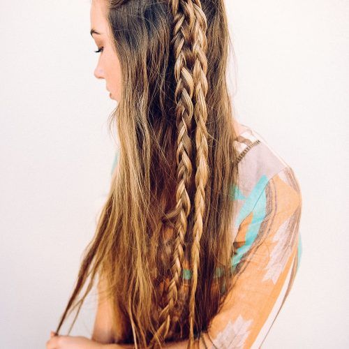Two Extra Long Braids (Photo 5 of 15)
