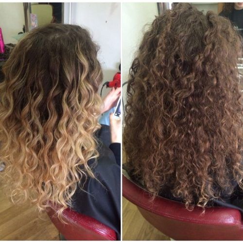 Brown To Blonde Ombre Curls Hairstyles (Photo 6 of 20)