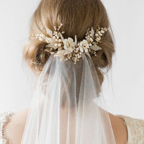 Bridal Chignon Hairstyles With Headband And Veil (Photo 19 of 20)