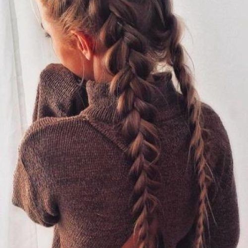 Long Hairstyles Braids (Photo 15 of 15)