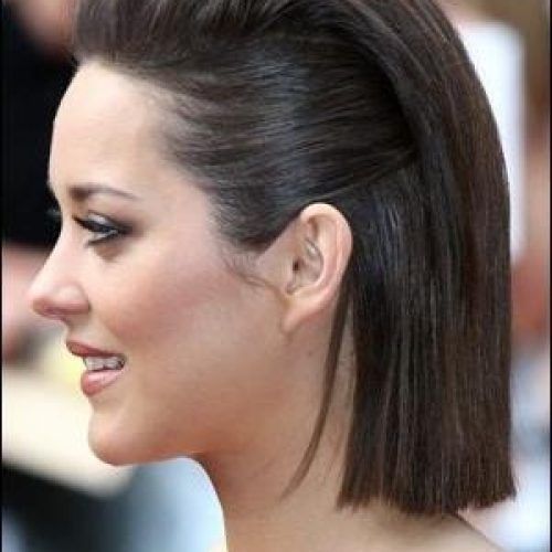 Long Hairstyles Pulled Back (Photo 8 of 15)