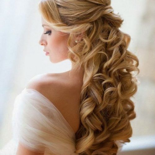 Wedding Hairstyles For Long Hair Down With Flowers (Photo 9 of 15)