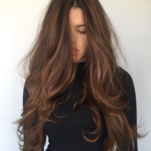 Long Hairstyles Brown (Photo 9 of 15)