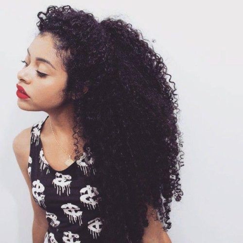 Long Hairstyles Naturally Curly Hair (Photo 12 of 15)