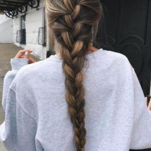 Braids For Long Thick Hair (Photo 3 of 15)