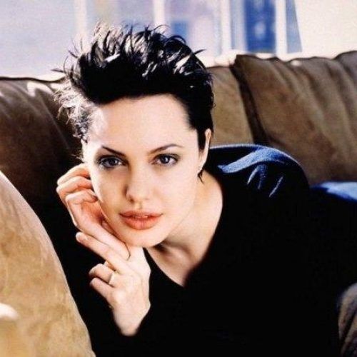 Angelina Jolie Short Hairstyles (Photo 1 of 20)