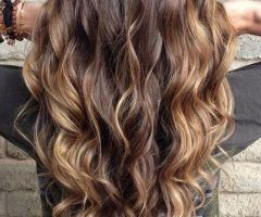 15 Collection of Long Hairstyles Balayage