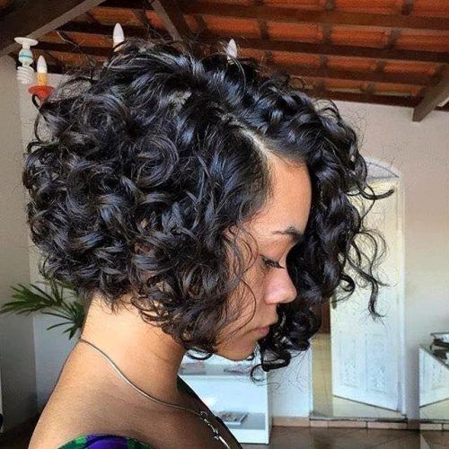 Curly Bob Hairstyles For Black Women (Photo 4 of 15)