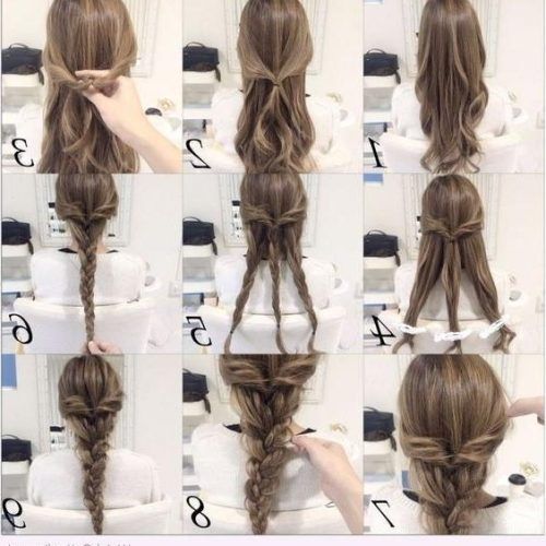 Long Hairstyles Plaits (Photo 11 of 15)