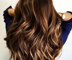 15 Collection of Long Hairstyles Brown with Highlights