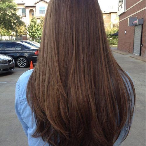 Long Hair Colors And Cuts (Photo 13 of 15)
