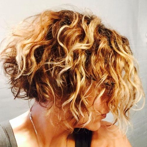 Short Curly Inverted Bob Hairstyles (Photo 6 of 15)