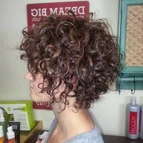 Short Curly Inverted Bob Hairstyles (Photo 10 of 15)