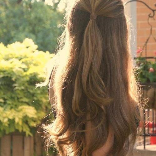 Half Up Hairstyles For Long Straight Hair (Photo 13 of 15)