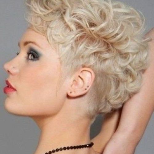 Short Hairstyles For Curly Fine Hair (Photo 12 of 20)