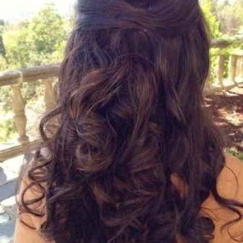 Long Hairstyles Pinned Back (Photo 11 of 15)