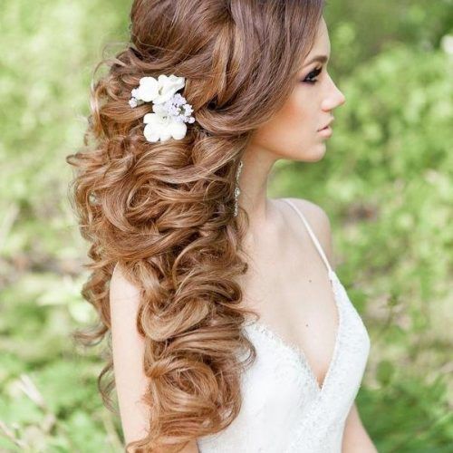 Curly Hairstyles For Weddings Long Hair (Photo 3 of 15)