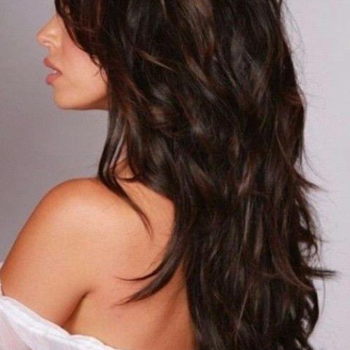 Hairstyles For Long Hair With Short Layers (Photo 14 of 15)