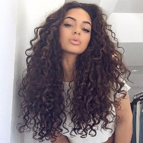 Long Hairstyles Naturally Curly Hair (Photo 6 of 15)