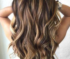 15 Photos Highlights for Long Hairstyles