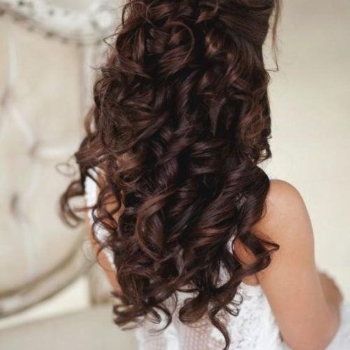 Long Hair Quinceanera Hairstyles (Photo 7 of 15)