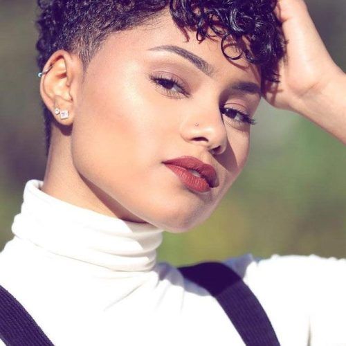 Short Hairstyles For Afro Hair (Photo 3 of 20)