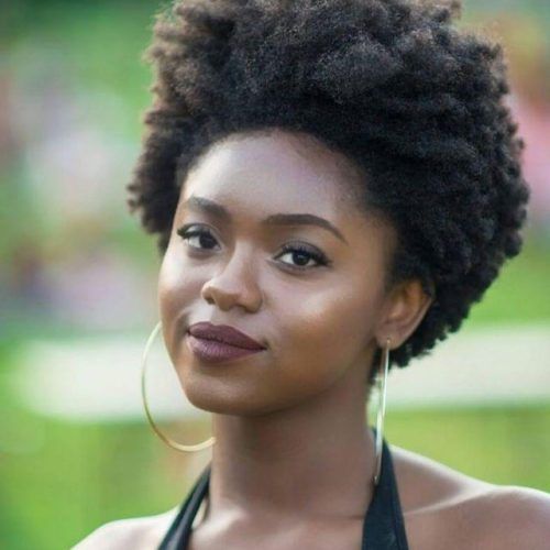Short Hairstyles For Afro Hair (Photo 17 of 20)