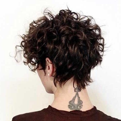 Short Hairstyles For Women With Curly Hair (Photo 9 of 15)