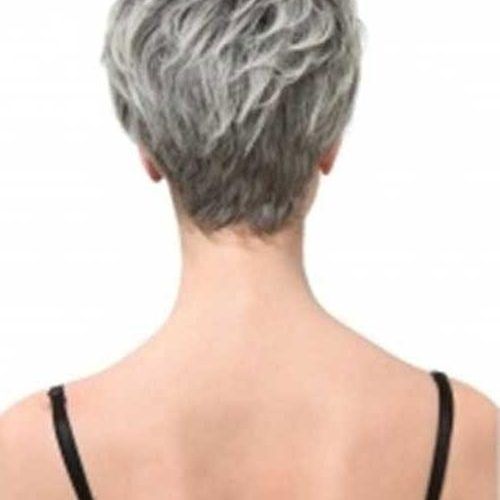 Short Haircuts For Salt And Pepper Hair (Photo 20 of 20)
