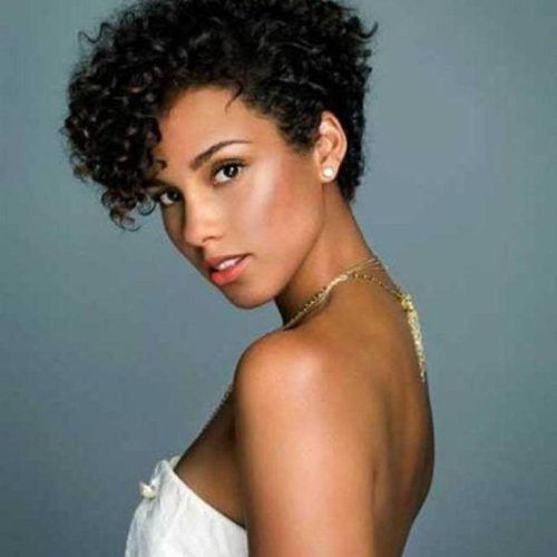 Short Haircuts For Curly Black Hair (Photo 15 of 20)