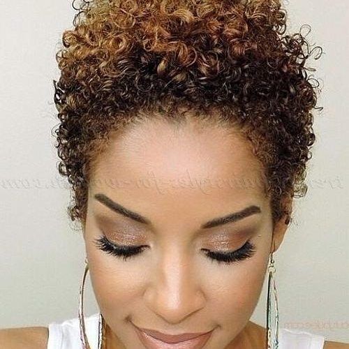 Naturally Curly Short Hairstyles (Photo 3 of 20)