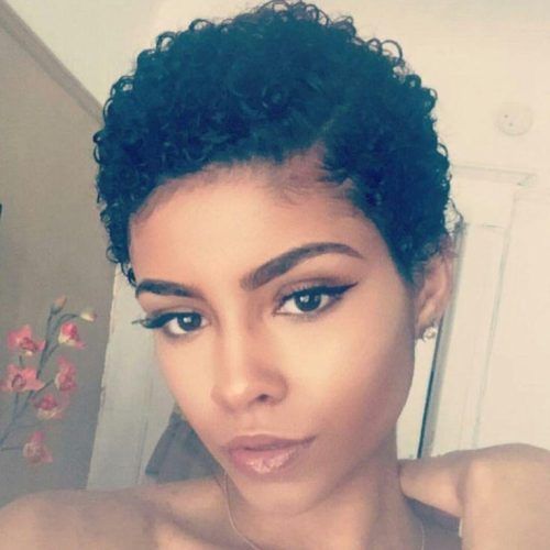 Short Haircuts For Curly Black Hair (Photo 17 of 20)