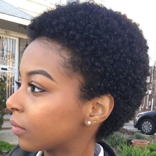 Short Haircuts For Black Women With Natural Hair (Photo 14 of 20)