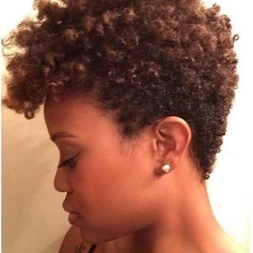 Black Women Natural Short Haircuts (Photo 5 of 20)