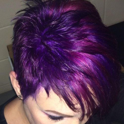 Purple And Black Short Hairstyles (Photo 15 of 20)