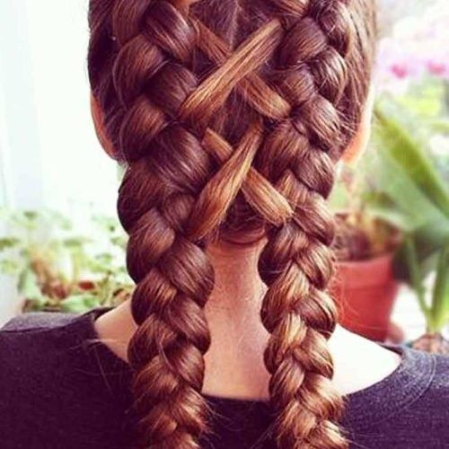 Braids Hairstyles For Long Thick Hair (Photo 10 of 15)