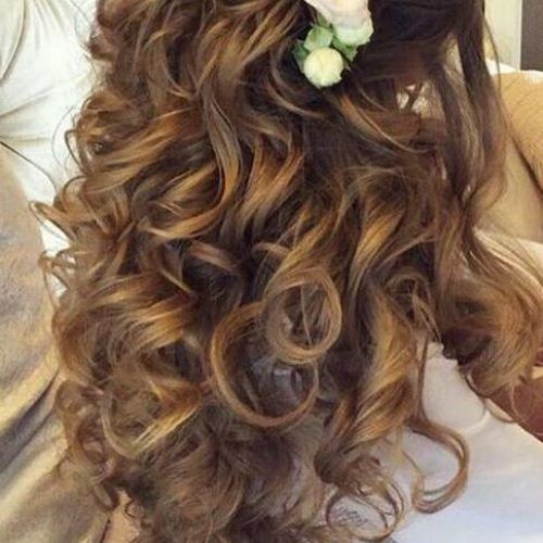 Wedding Hairstyles For Long Hair (Photo 7 of 15)