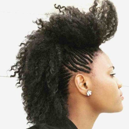 Black Twisted Mohawk Braid Hairstyles (Photo 8 of 20)