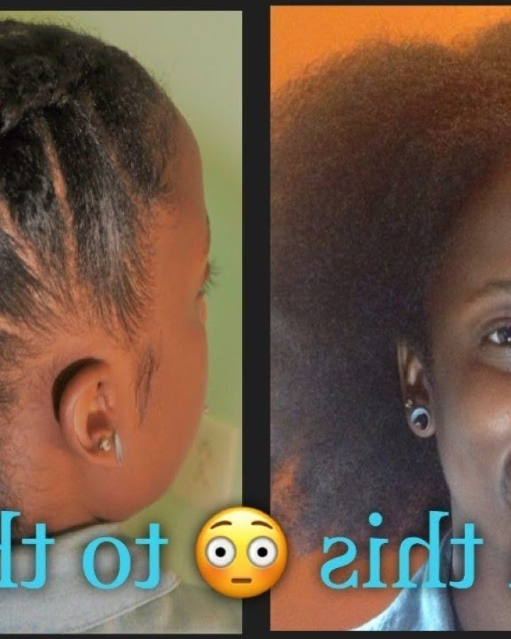 15 Best Ideas Braided Hairstyles Without Weave