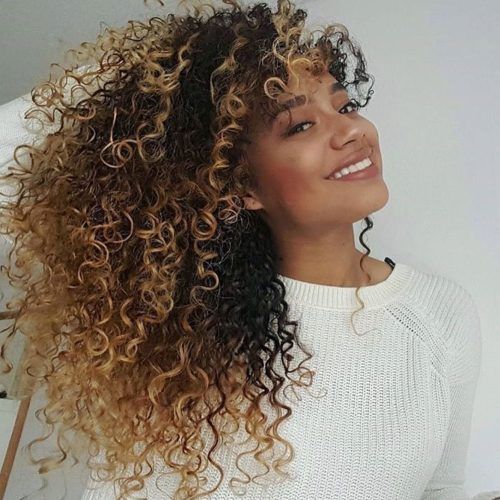 Brown To Blonde Ombre Curls Hairstyles (Photo 7 of 20)