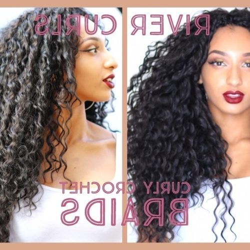 Curly Hairstyle With Crochet Braids (Photo 13 of 15)