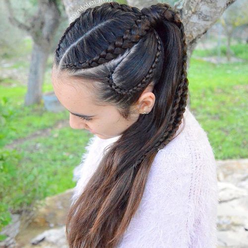 Curvy Braid Hairstyles And Long Tails (Photo 11 of 20)