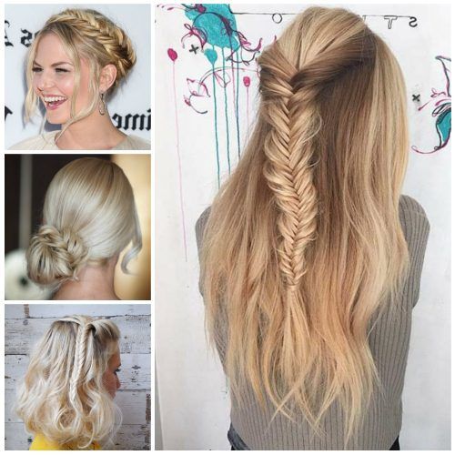 Fishtail Crown Braided Hairstyles (Photo 14 of 20)